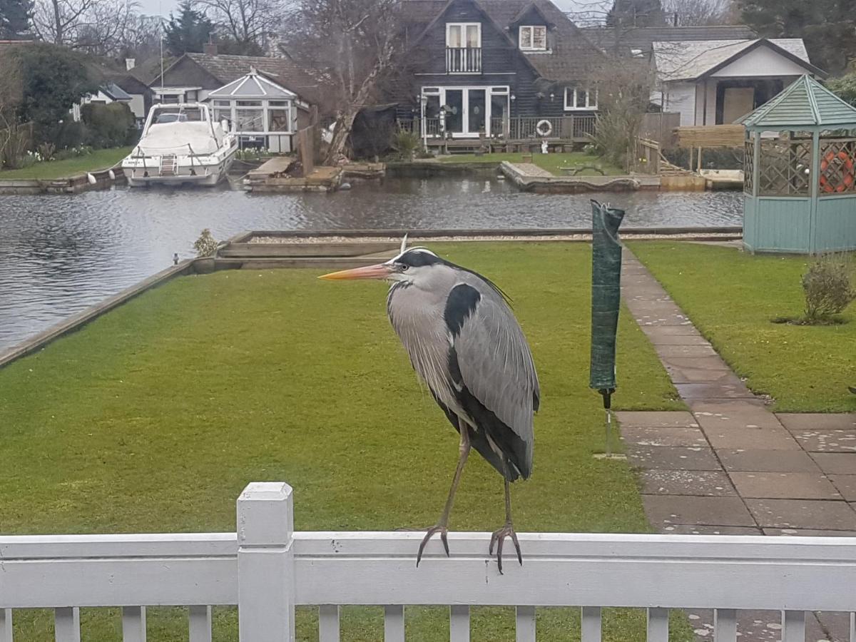 The Willows Wroxham Εξωτερικό φωτογραφία